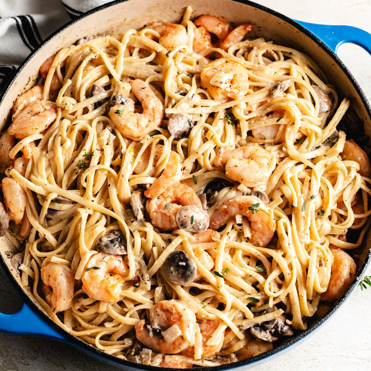 Creamy Shrimp and Mushroom Pasta