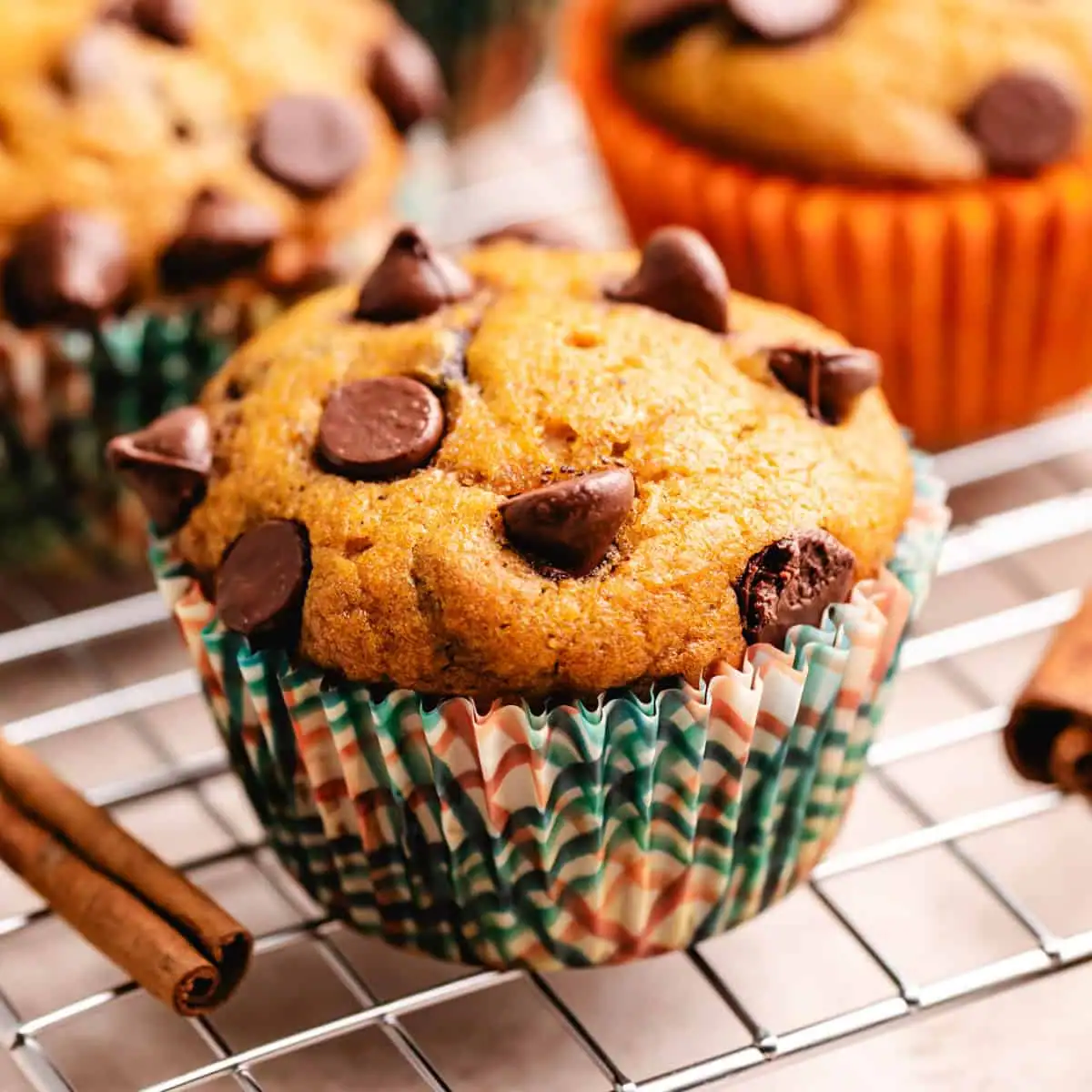 Pumpkin Chocolate Chip Muffins