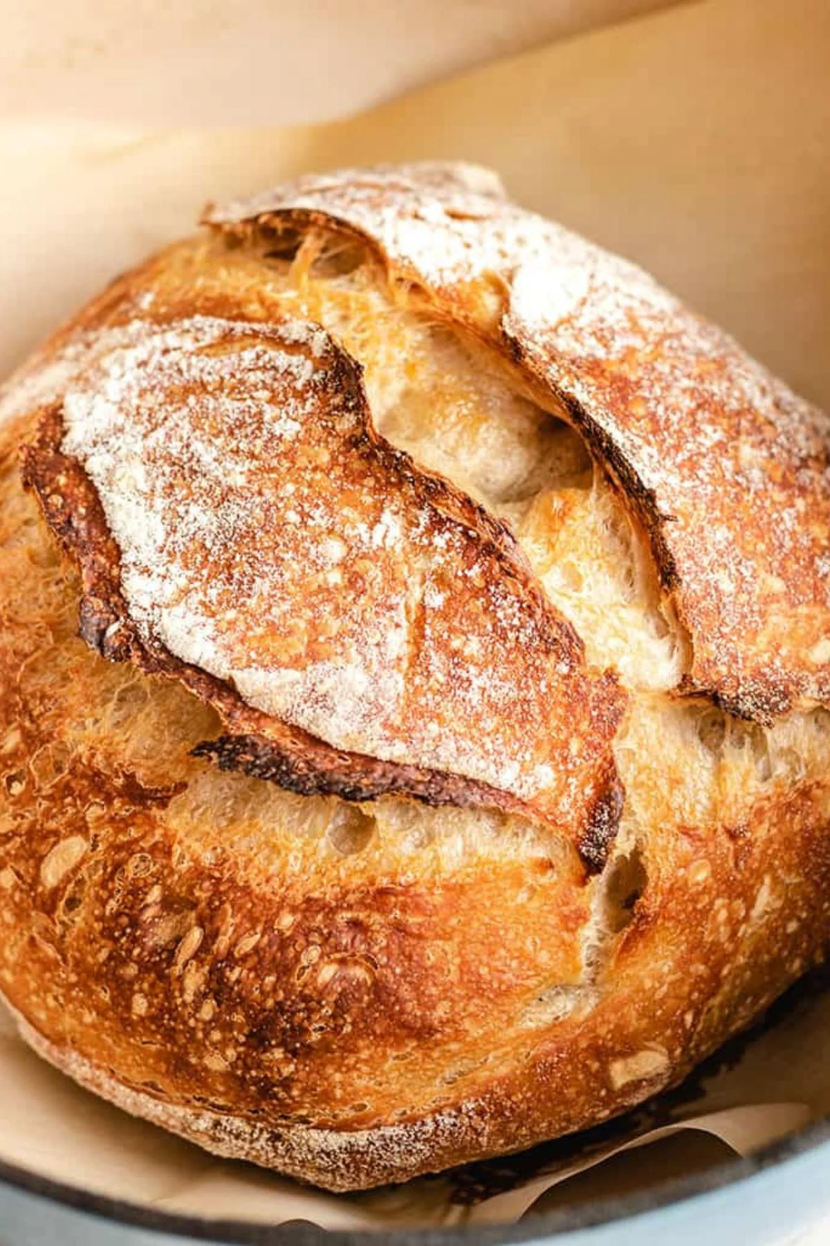 Close up view of freshly baked sourdough bread on parchment paper.