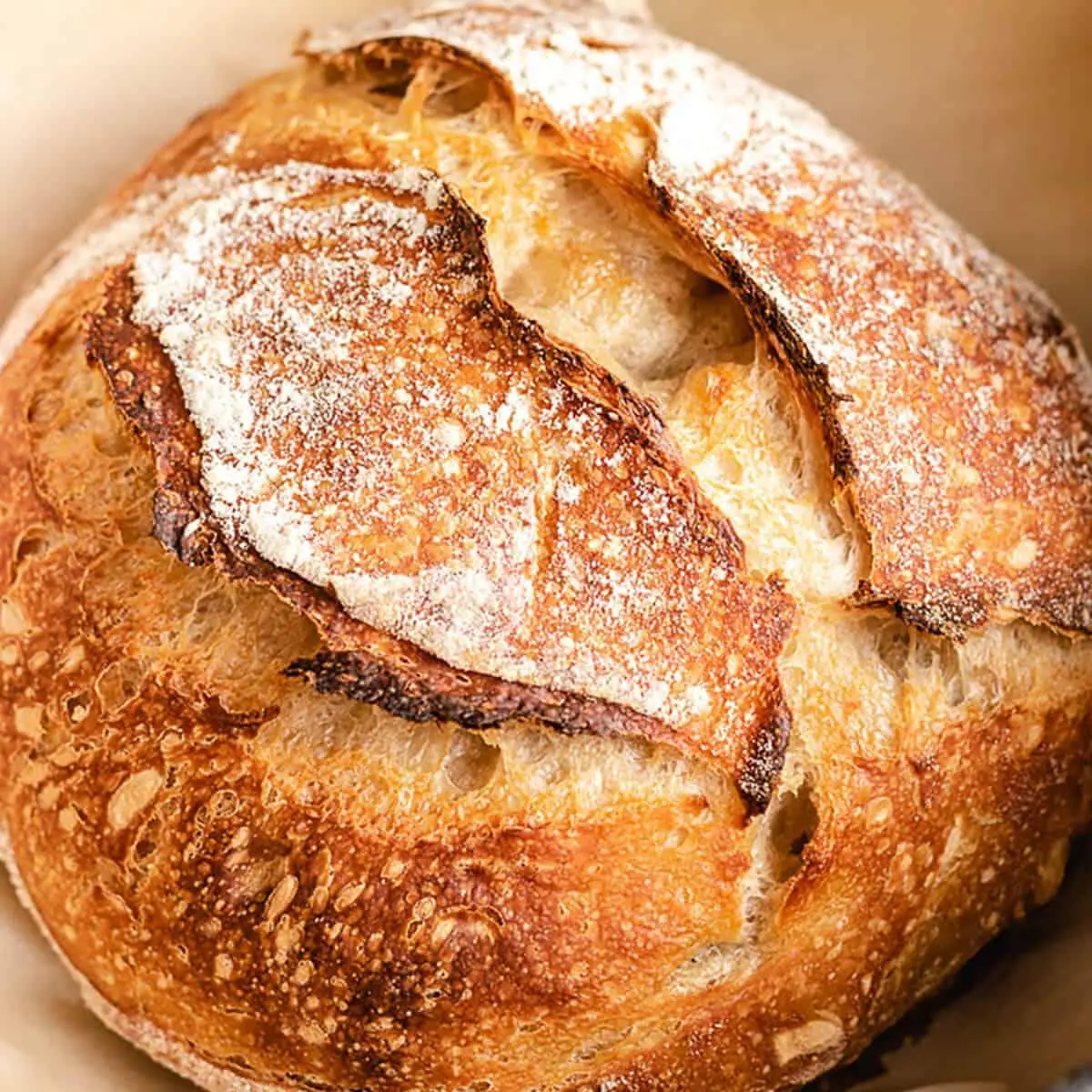 Close up view of a loaf of freshly baked sourdough.