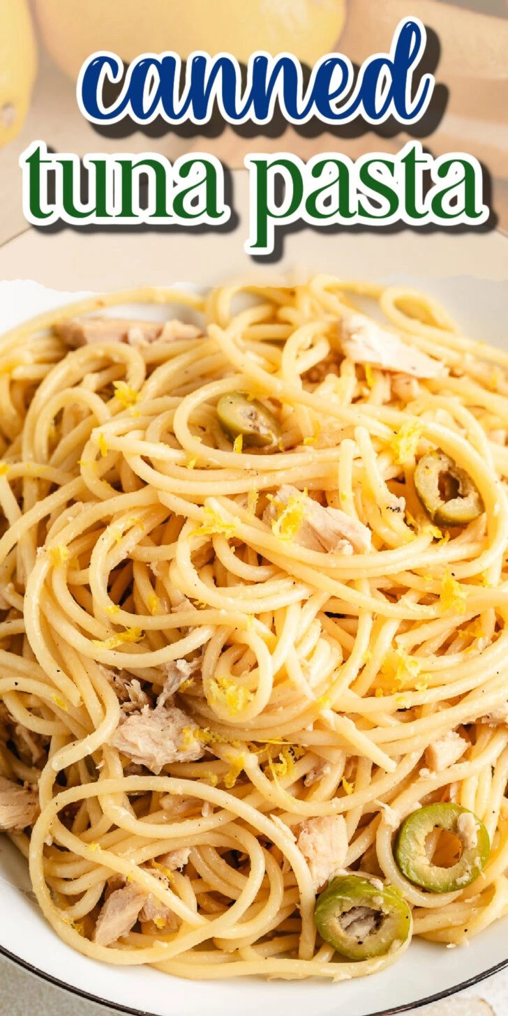 Close up view of a bowl of pasta with canned tuna.