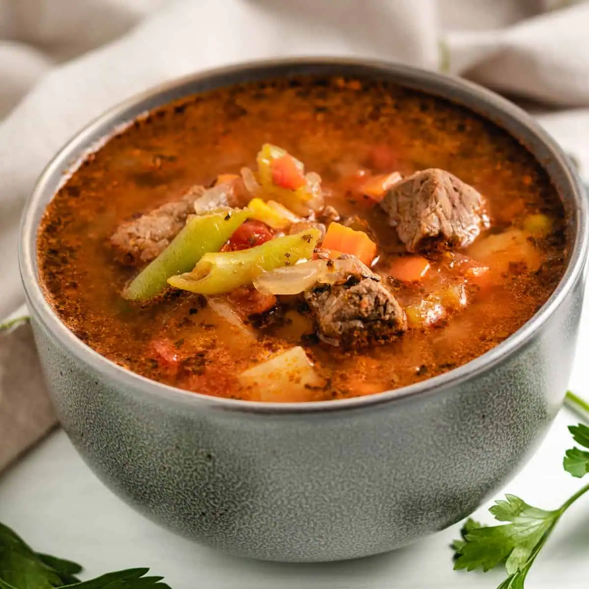 Vegetable Beef Soup