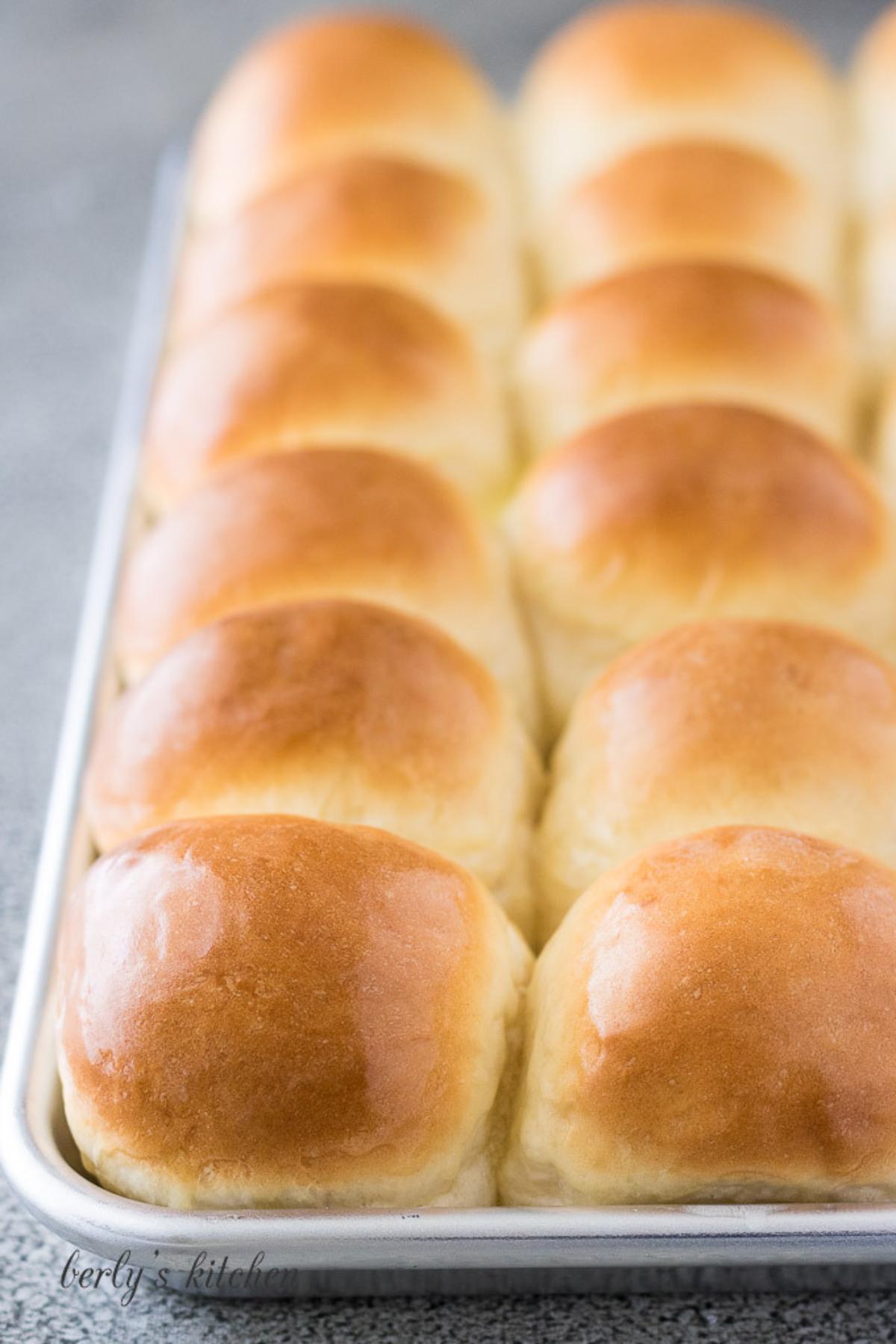 Homemade yeast rolls on a baking sheet.