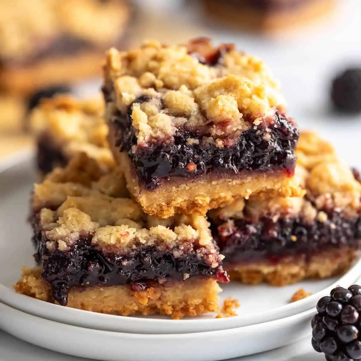Blackberry Crumble Bars