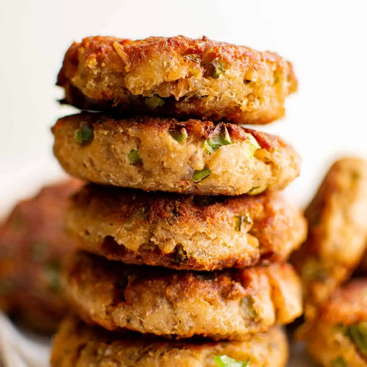 Salmon Croquettes