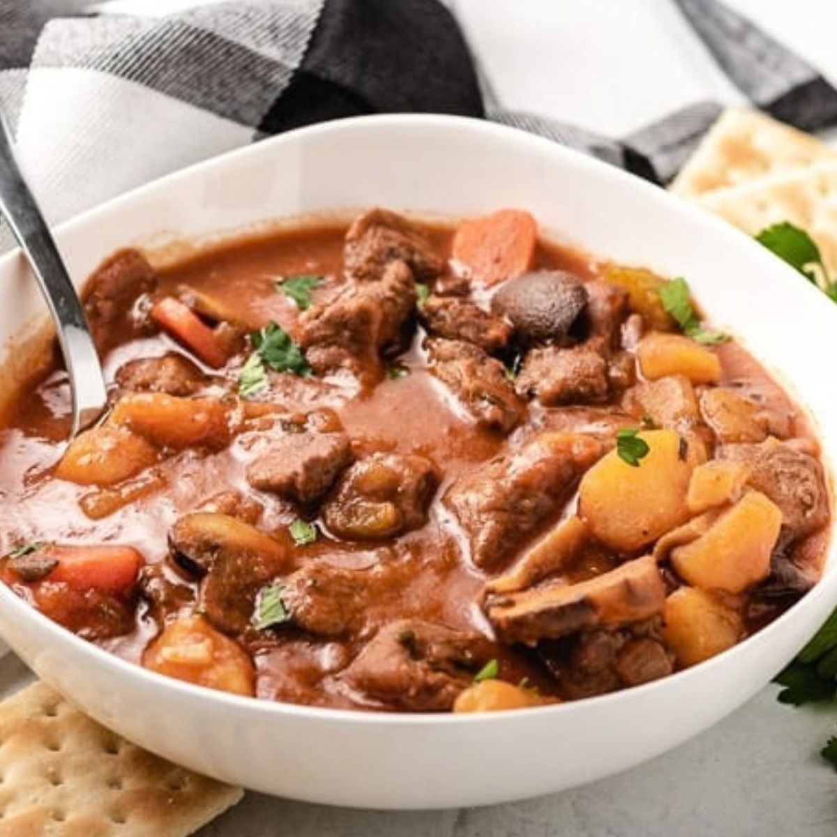 Close up view of hearty beef stew filling in white dish.